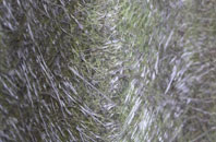 West Minster fibreglass roof work